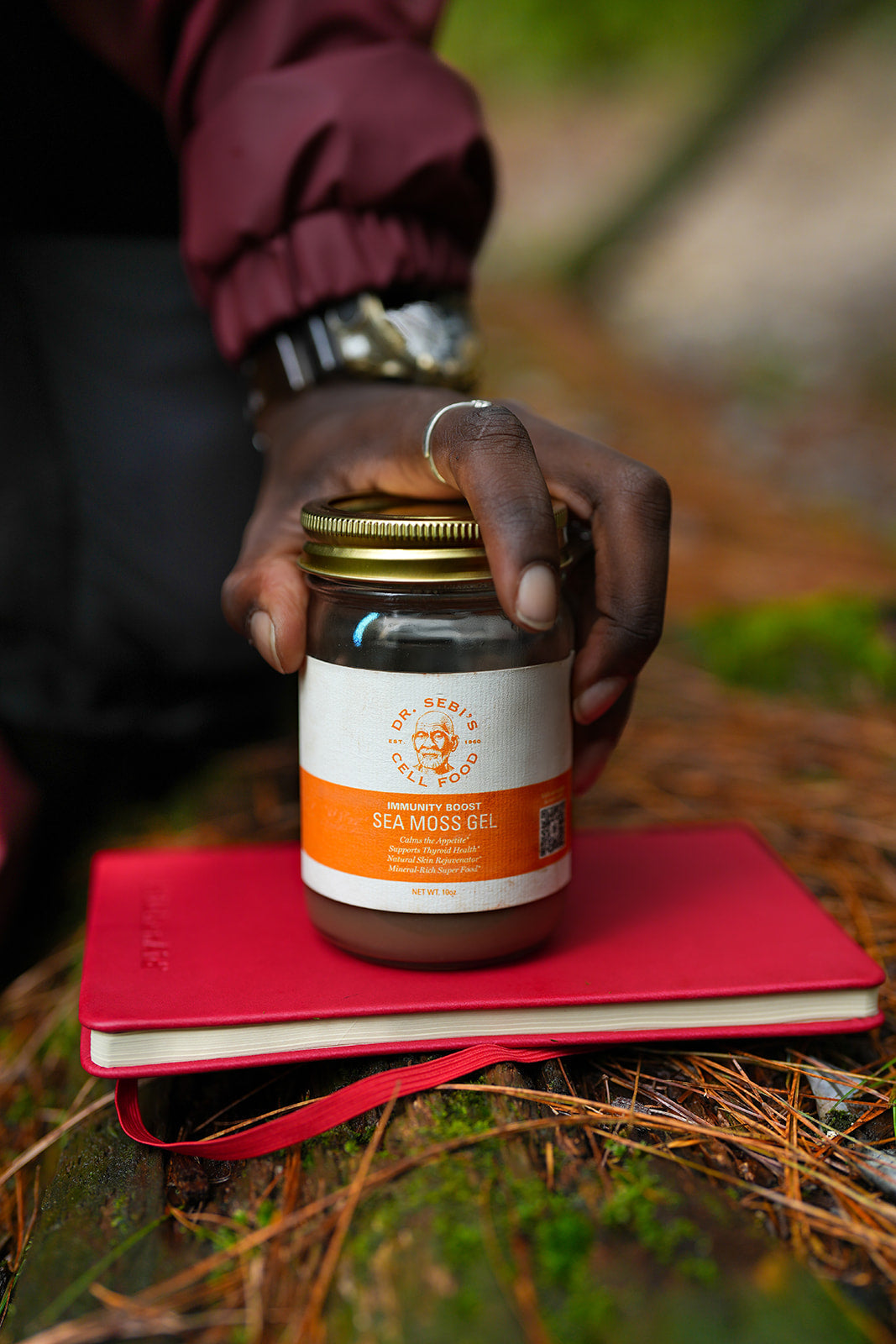 クリステ 乳液 3本セット 各250ml Wildcrafted vs. Cultivated Herbs: Understanding Dr. Sebi's Natural