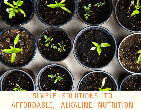 How To Enhance Your Nutrition On A Budget (May 2020) – Dr. Sebi's Cell Food - Dr. Sebi's Cell Food