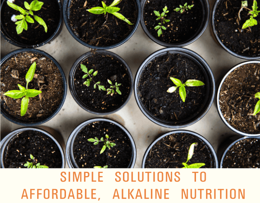 How To Enhance Your Nutrition On A Budget (May 2020) – Dr. Sebi's Cell Food - Dr. Sebi's Cell Food