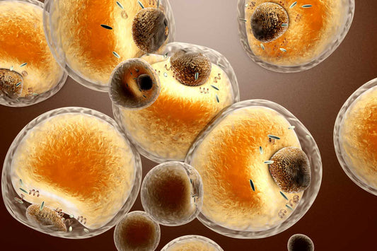 Count your blessings, not your calories! (July 2021) – Dr. Sebi's Cell Food - Dr. Sebi's Cell Food
