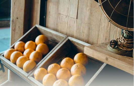 3 Tips For Healthy Grocery Shopping (July 2020) – Dr. Sebi's Cell Food - Dr. Sebi's Cell Food
