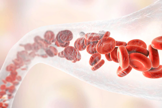 Does your blood need a new diet? (July 2021) – Dr. Sebi's Cell Food - Dr. Sebi's Cell Food