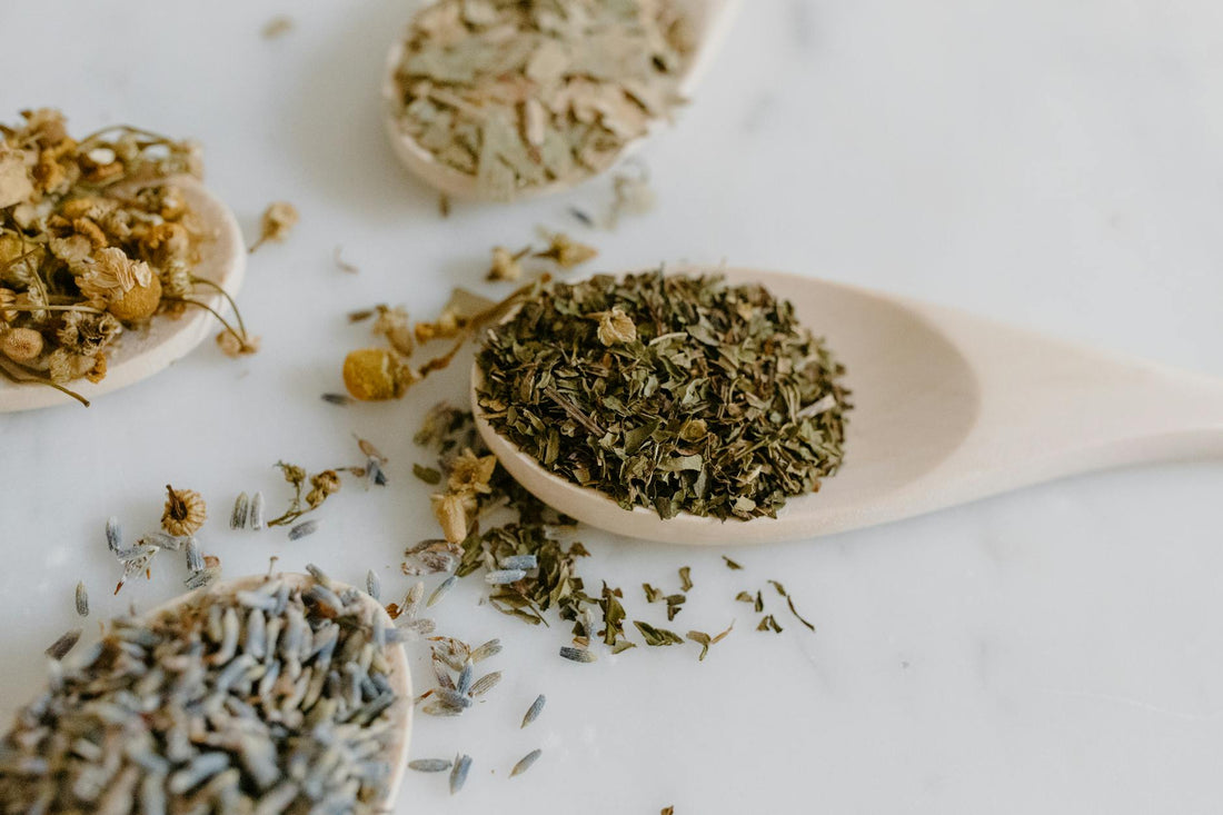Collection of dried herbs on wooden spoons representing natural remedies for blood sugar support