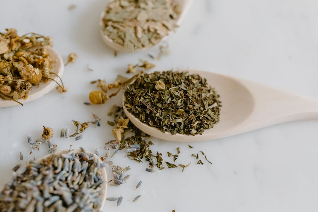 Natural herbal remedies for parasite cleansing - Dr. Sebi herbs