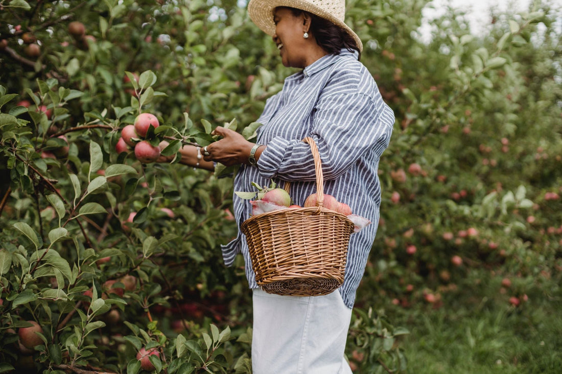 Nourish Your Body With These 6 Alkaline Foods for Fall and Winter