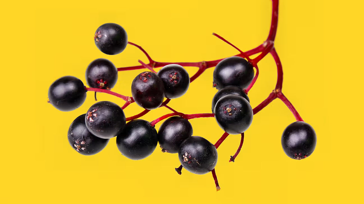 Descriptive alt text