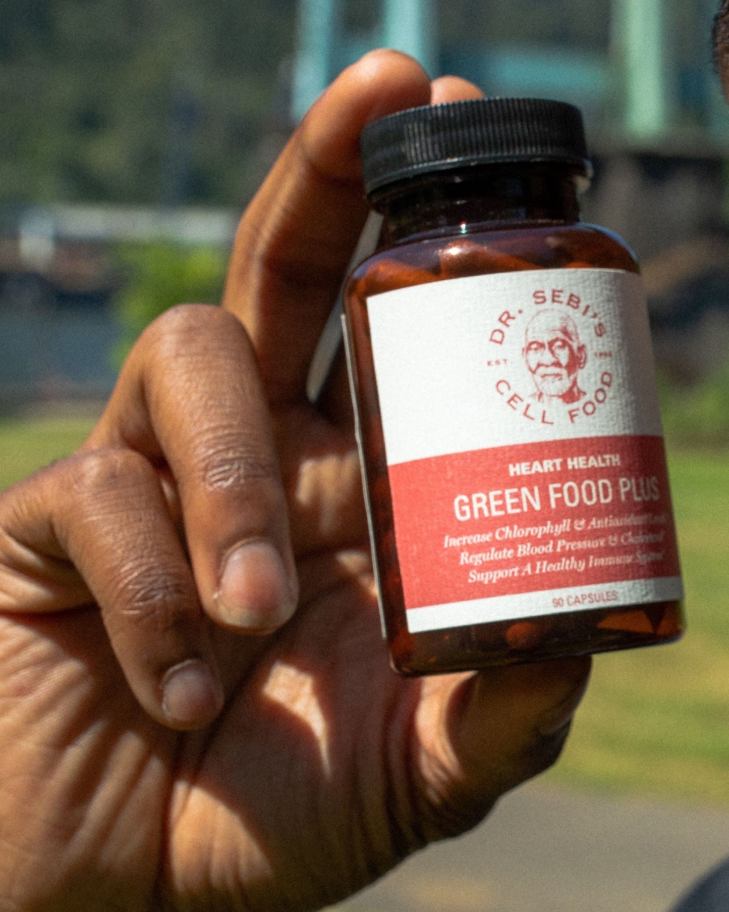 All-Inclusive Package (Male - Testo)