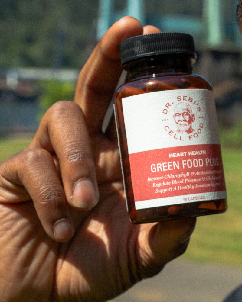 All-Inclusive Package (Male - Testo)