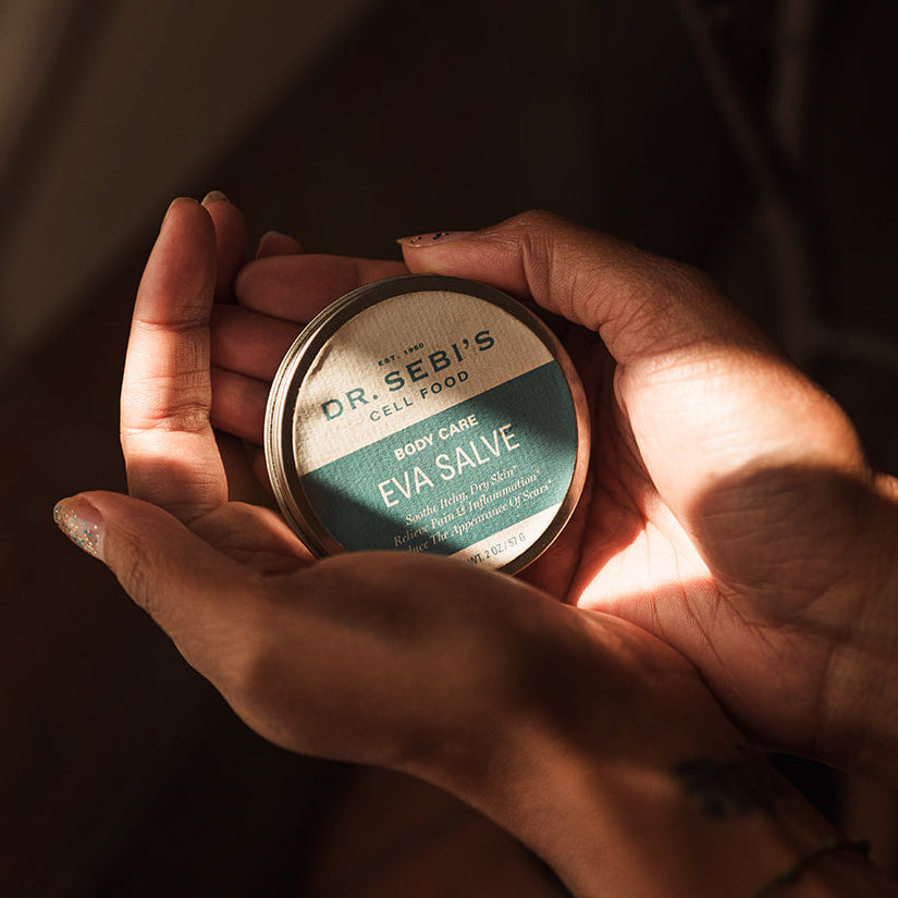Hand holding Dr. Sebi's Eva Salve body care product in natural sunlight with dried herbs in background.