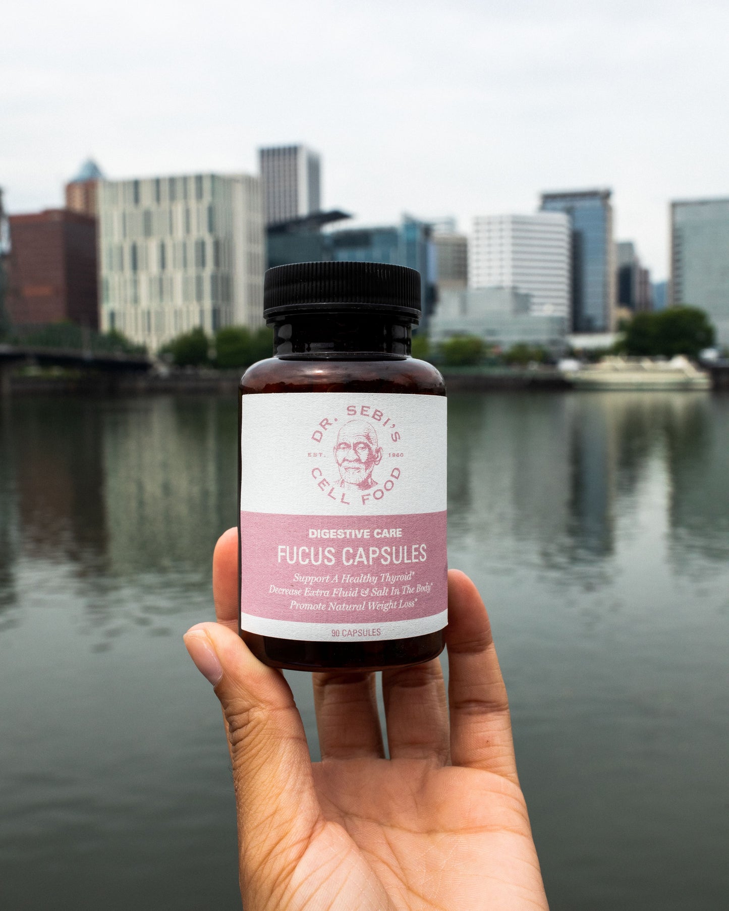 Hand holding Dr. Sebi's Fucus Capsules bottle with city skyline and waterfront in background.