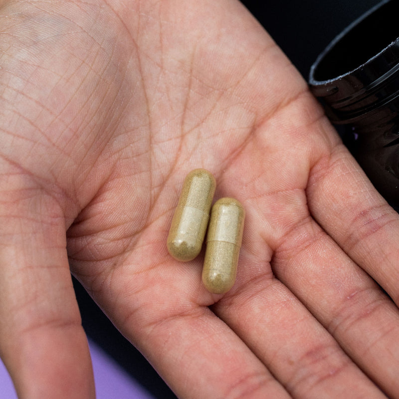 Two herbal supplement capsules resting in an open palm, displaying natural tan coloring.