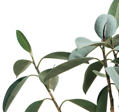 Customer Form Botanical graphic