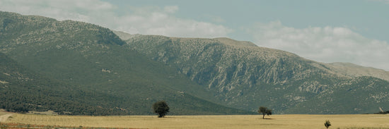 Serene mountain landscape with sparse vegetation and golden fields, evoking natural healing and wellness.